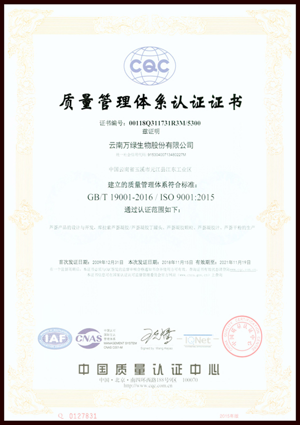 Quality Management System Certificate